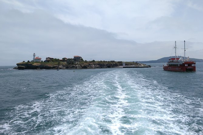 Visit the Unique & Only Bulgarian Black Sea Island Saint Anastasia - Key highlights worth your attention