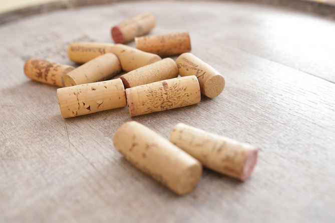 Wine Tasting in Heart of Sofia - The cheese and bread pairing that makes everything click