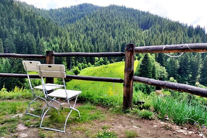 Zip Line & Via Ferrata Experience in the Rhodope Mountains - What “medium difficulty” means when you’re new to climbing