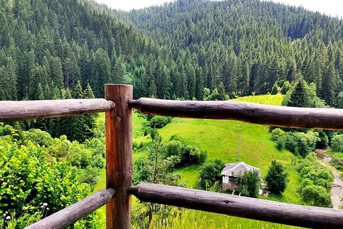 Zip Line & Via Ferrata Experience in the Rhodope Mountains - The alpine trolley downhill: 165 m, 14 m leveling, and a 35 m launch